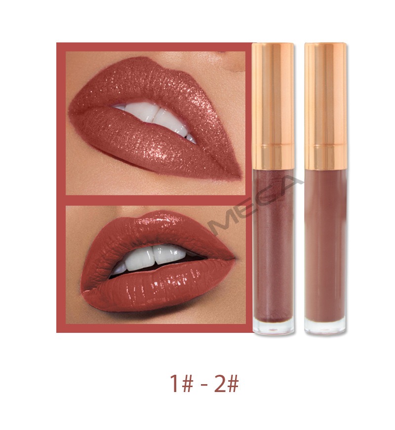 6 COLOR SHIMMER METALLIC LIPGLOSS